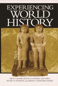 bokomslag Experiencing World History