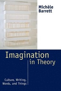 bokomslag Imagination in Theory