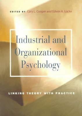 bokomslag Industrial and Organizational Psychology