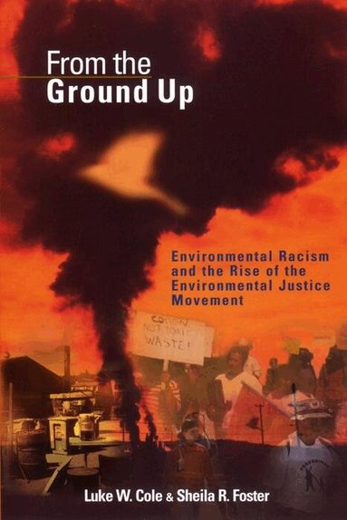 Luke W. Cole, Sheila R. Foster - From the Ground Up, Häftad