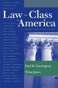 bokomslag Law and Class in America