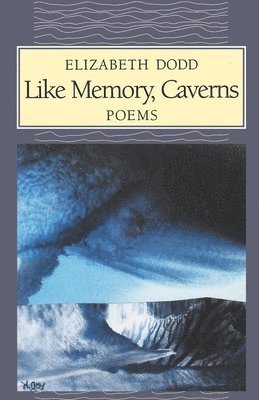 bokomslag Like Memory, Caverns