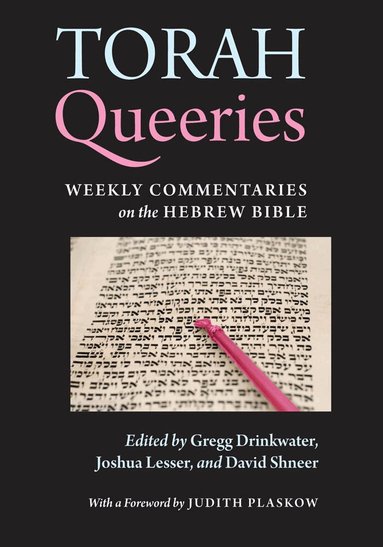Gregg Drinkwater, Joshua Lesser, David Shneer - Torah Queeries, Inbunden