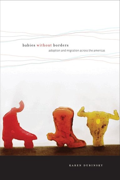 Karen Dubinsky - Babies Without Borders, Inbunden