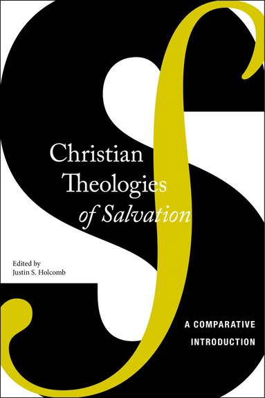 bokomslag Christian Theologies of Salvation