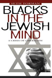 bokomslag Blacks in the Jewish Mind