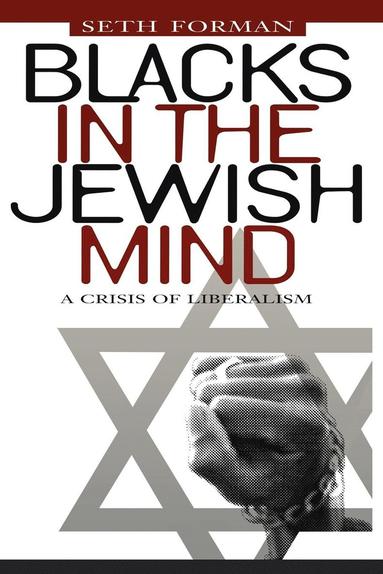 bokomslag Blacks in the Jewish Mind