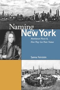 bokomslag Naming New York