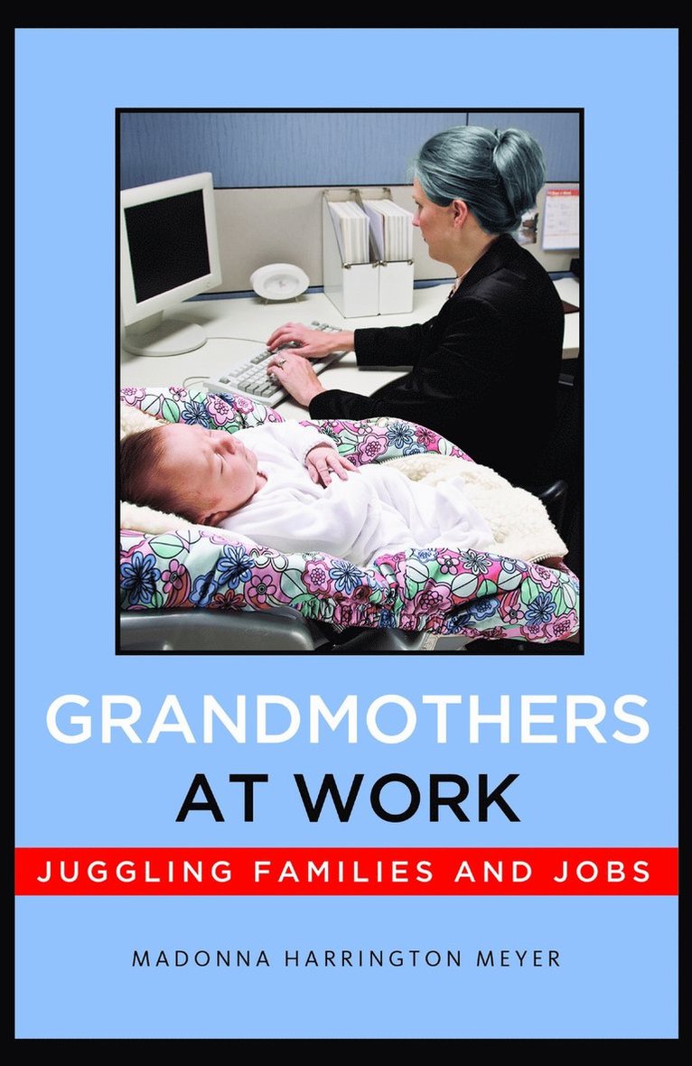 Madonna Harrington Meyer, Madonna Harrington Meyer - Grandmothers at Work, Häftad