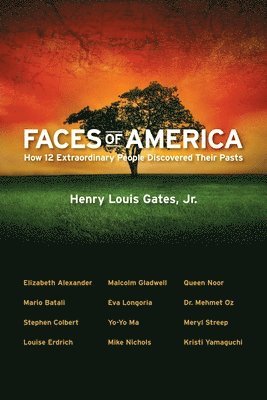 Faces of America 1
