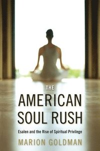 bokomslag The American Soul Rush
