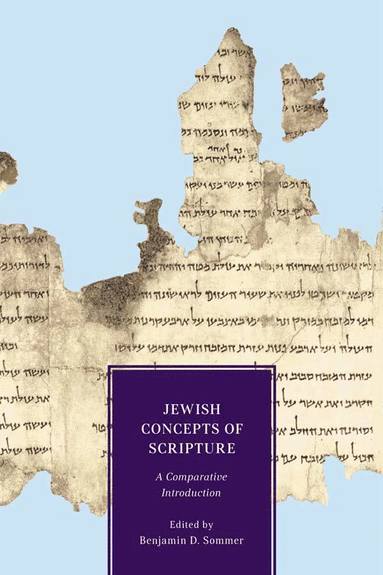 bokomslag Jewish Concepts of Scripture