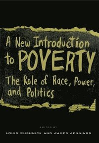 bokomslag A New Introduction to Poverty