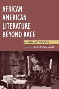 bokomslag African American Literature Beyond Race