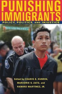 bokomslag Punishing Immigrants