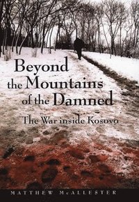 bokomslag Beyond the Mountains of the Damned