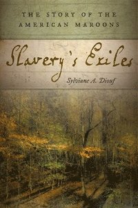 bokomslag Slavery's Exiles