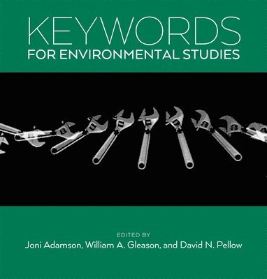 bokomslag Keywords for Environmental Studies