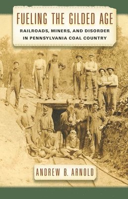 Andrew B. Arnold, Andrew B Arnold - Fueling the Gilded Age, Inbunden