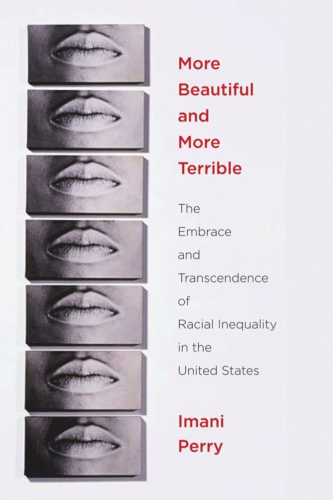 Imani Perry, Leila Rupp - More Beautiful and More Terrible, Inbunden