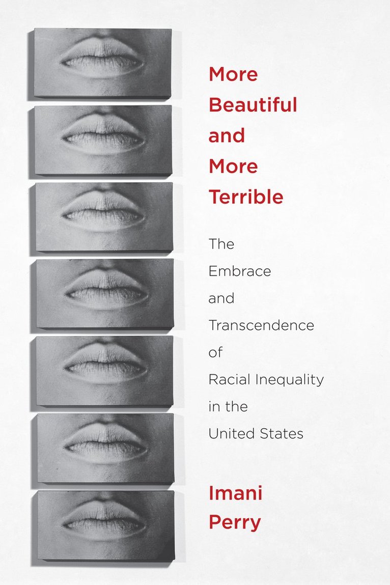 Imani Perry - More Beautiful and More Terrible, Häftad