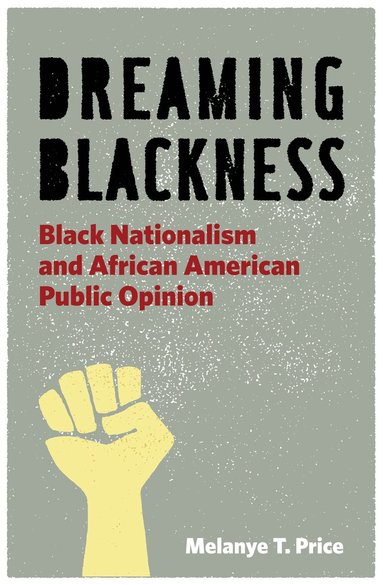 bokomslag Dreaming Blackness