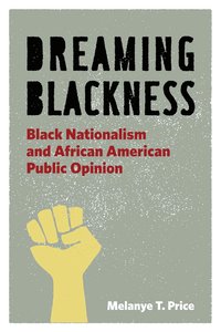 bokomslag Dreaming Blackness