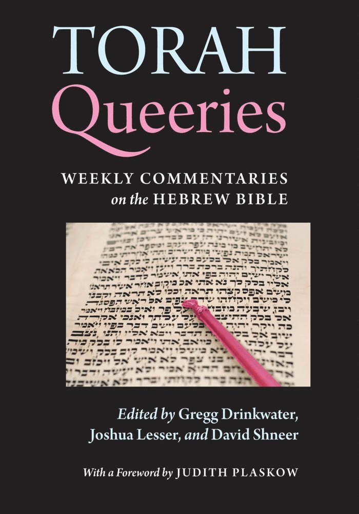 Gregg Drinkwater, Joshua Lesser, David Shneer - Torah Queeries, Häftad