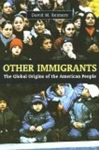 bokomslag Other Immigrants