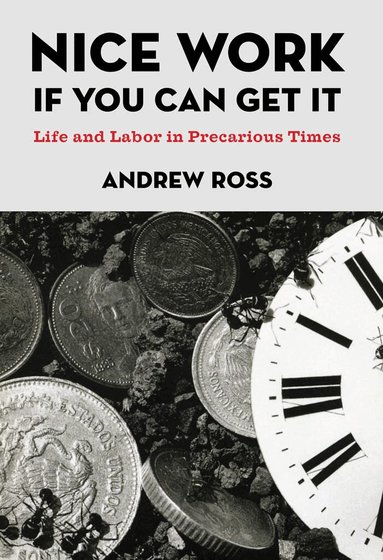 Andrew Ross - Nice Work If You Can Get It, Inbunden
