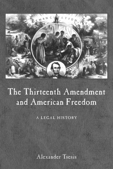 Alexander Tsesis - Thirteenth Amendment and American Freedom, Inbunden