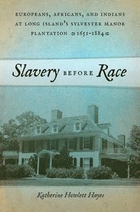 bokomslag Slavery before Race