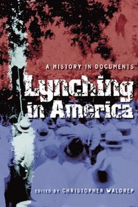 bokomslag Lynching in America