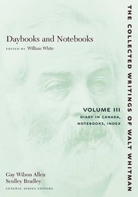 bokomslag Daybooks and Notebooks: Volume III