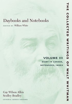 Daybooks and Notebooks: Volume III 1