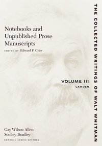 bokomslag Notebooks and Unpublished Prose Manuscripts: Volume III