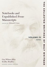 bokomslag Notebooks and Unpublished Prose Manuscripts: Volume IV
