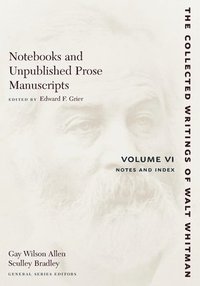 bokomslag Notebooks and Unpublished Prose Manuscripts: Volume VI