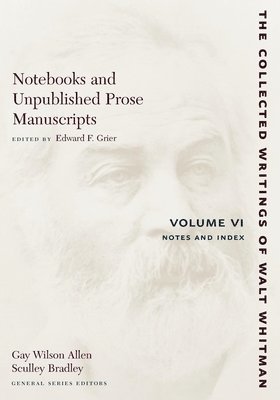 Notebooks and Unpublished Prose Manuscripts: Volume VI 1