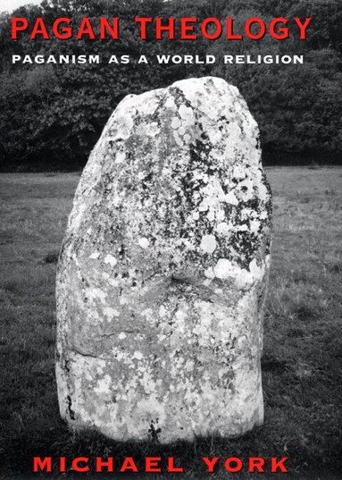 Michael York - Pagan Theology, Häftad