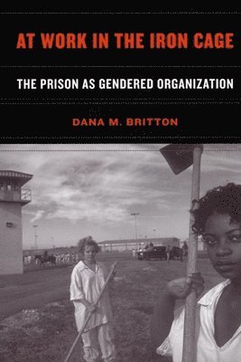 Dana M. Britton - At Work in the Iron Cage, Inbunden
