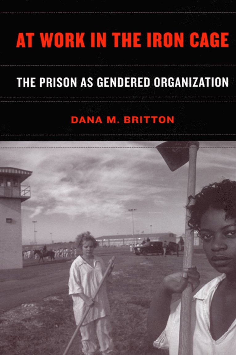 Dana M. Britton, Dana M Britton - At Work in the Iron Cage, Häftad