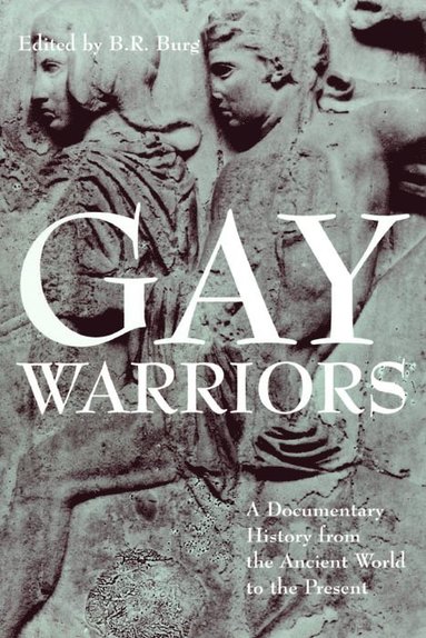 bokomslag Gay Warriors