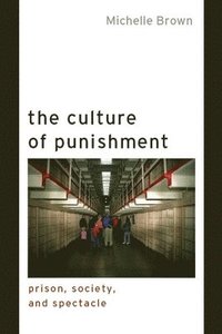 bokomslag The Culture of Punishment