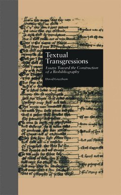 bokomslag Textual Transgressions