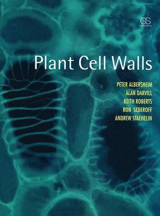 bokomslag Plant Cell Walls