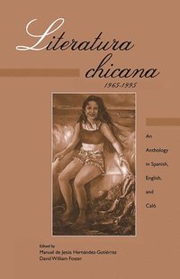 bokomslag Literatura chicana, 1965-1995