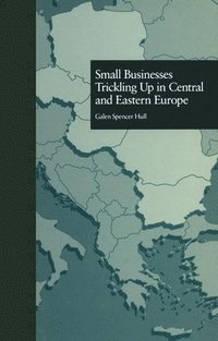 bokomslag Transnational Business