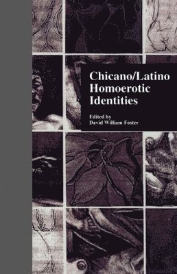 bokomslag Chicano/Latino Homoerotic Identities