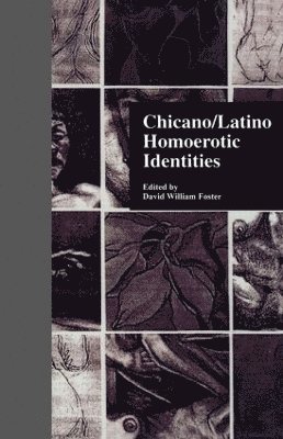 Chicano/Latino Homoerotic Identities 1